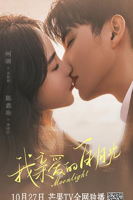 韶关专业网站优化价格